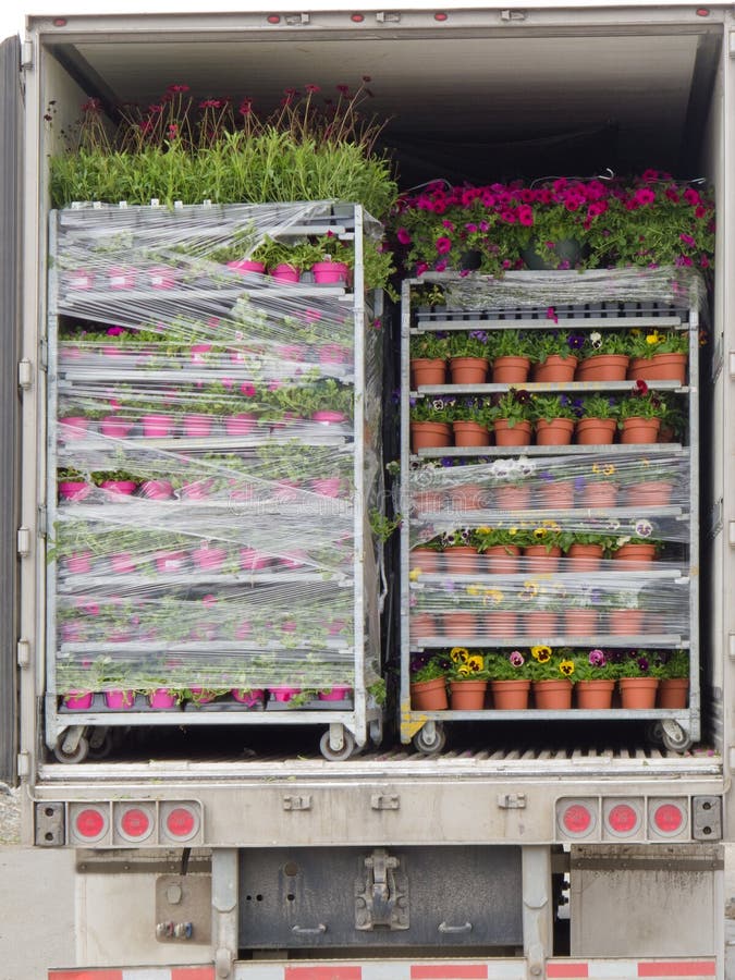 Open Delivery Truck Loaded with Pot Plants Pallets Stock Image Image