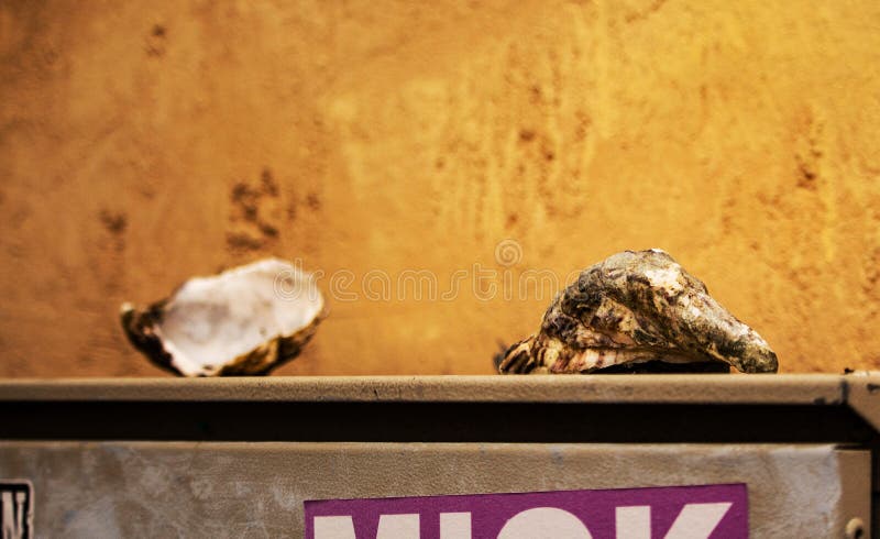 Open empty oyster shells on electricity box on yellow wall background stock images Open empty oyster shells on electricity box on yellow wall background stock images