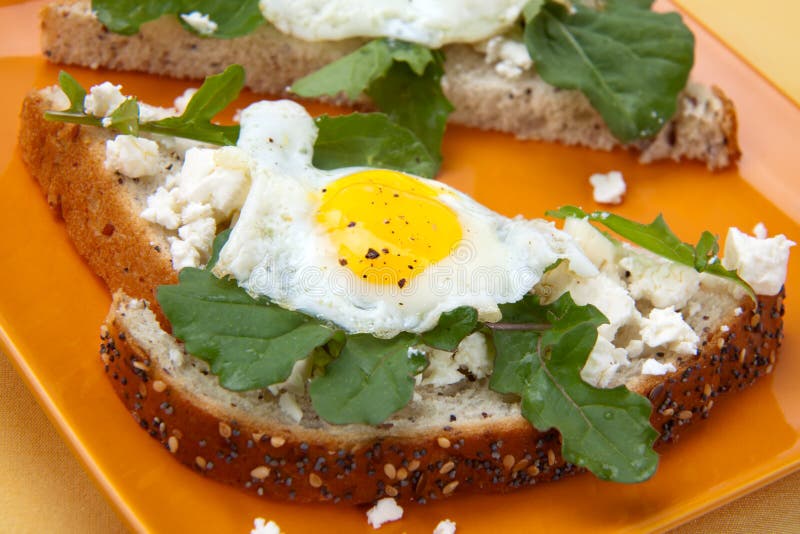 OpenFaced Sandwich with Fried Egg Stock Image Image of herbs, eggs 14222309
