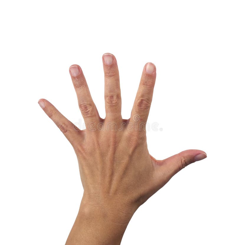 Woman Left Hand Showing Five Fingers Stock Photos - Free & Royalty