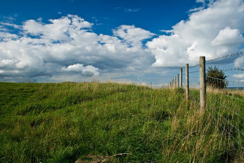 Open Field with Blue Sky