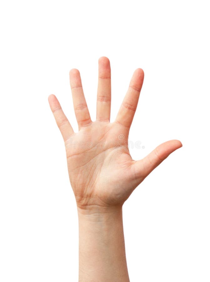 Open hand stock photography Open hand stock photography