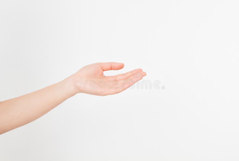 Open Man Hand Palm Up Isolated On White Background Front View Mock Up Copy Space Template Blank Stock Image Image Of Fist Angry Open Man Hand Palm Up Isolated On White Background Front View Mock Up Copy Space Template Blank Stock Image Image Of Fist Angry