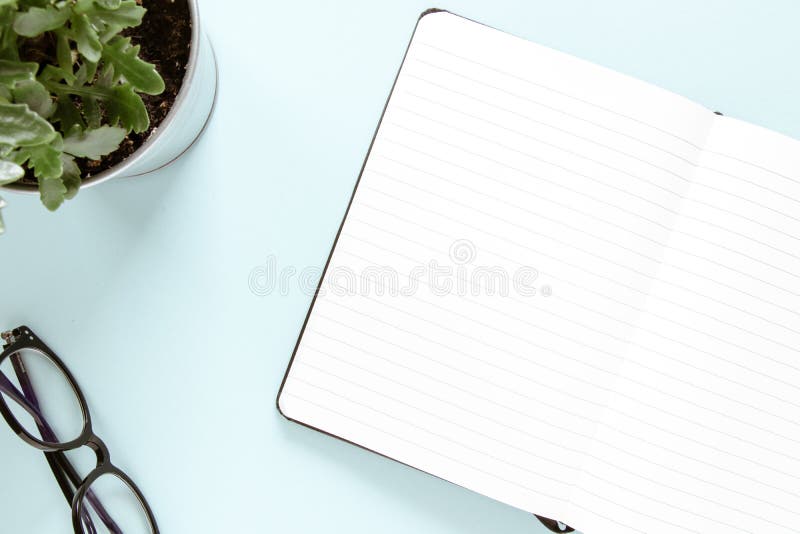 Open noot, witte pagina's, bril, groene bloem Studie- en werkconcept Vlek stock foto's Open noot, witte pagina's, bril, groene bloem Studie- en werkconcept Vlek stock foto's