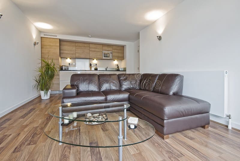 Open plan living room stock image. Image of flat, lounge 11562017