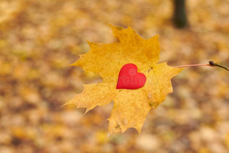 Pure Heart On Water Reflection Stock Photo - Image of landscape, lake ...