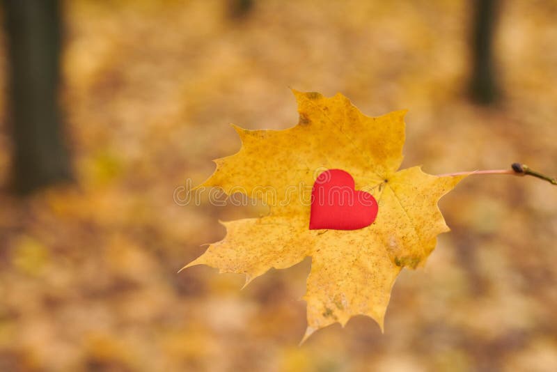 Pure Heart Water Splash with Ripples Stock Image - Image of lake ...