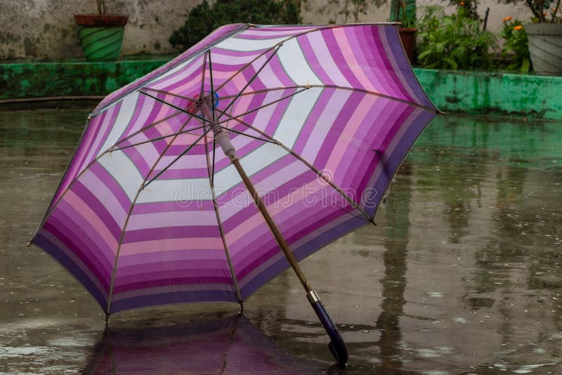Open purple umbrella stock image. Image of raindrop - 174843783