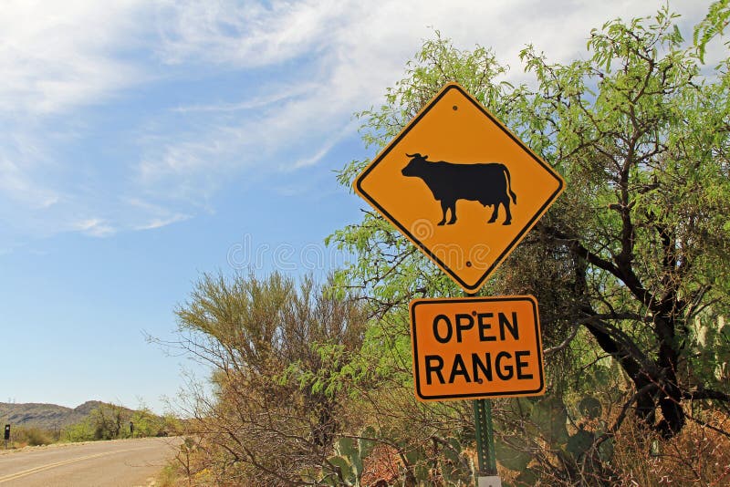 Open Range Cattle Crossing Warning in Arizona. Open range cattle crossing warning sign along a road in Arizona royalty free stock photos Open Range Cattle Crossing Warning in Arizona. Open range cattle crossing warning sign along a road in Arizona royalty free stock photos