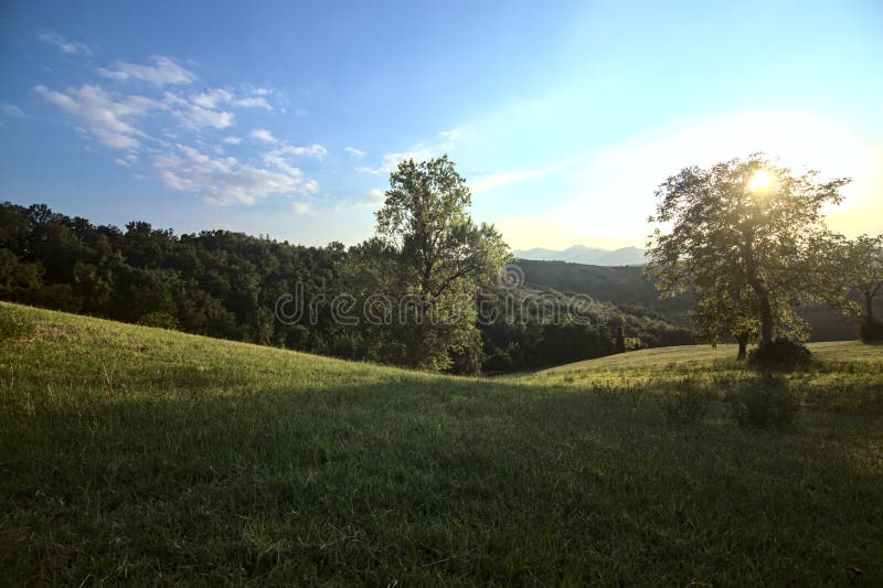 Open space on a hill slope with trees at sunset