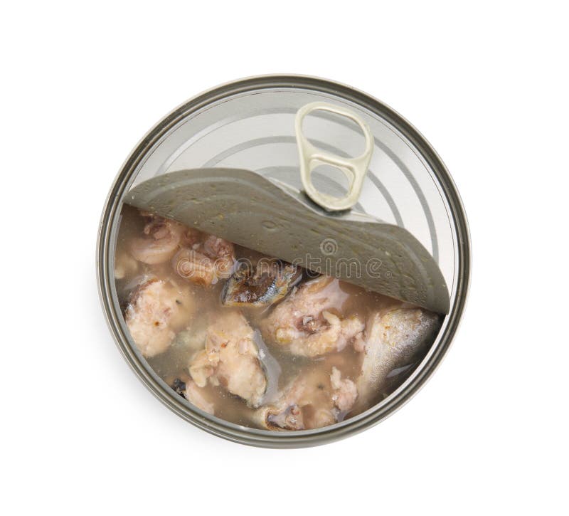 Open Tin Can with Mackerel Chunks Isolated on White , Top View Stock Image Image of