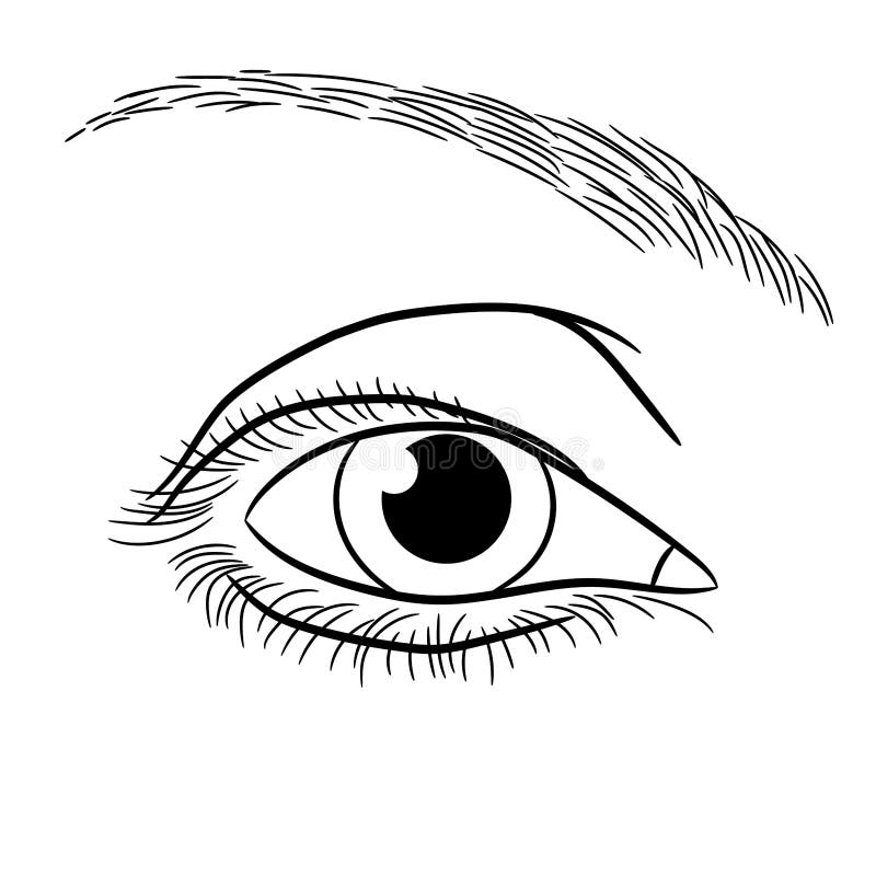 Cataract Verwoesting bekennen Open Vrouwelijke Oog Zwart-wit Vectorillustratie Vector Illustratie -  Illustration of beeldverhaal, helder: 85777710