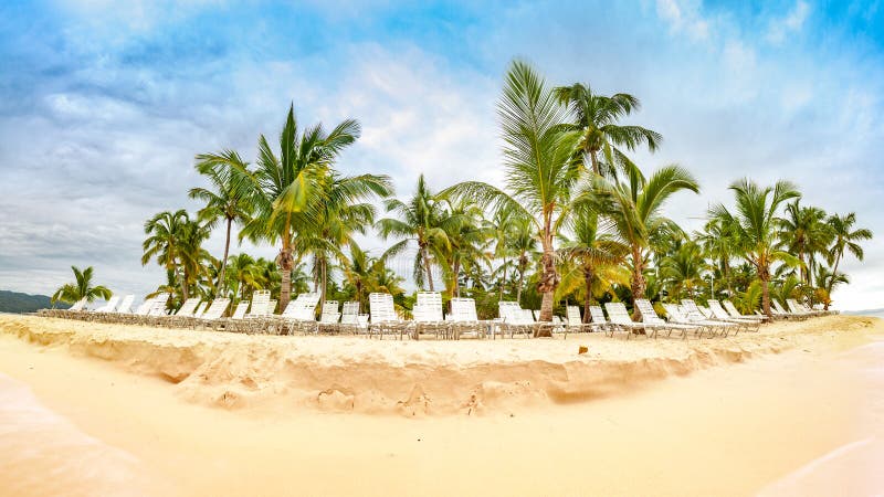 Openbaar strand met palmen stock afbeelding Openbaar strand met palmen stock afbeelding