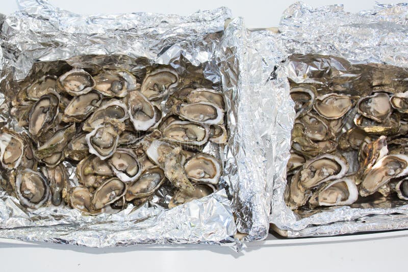 Opened Oysters on Ice Seafood Stock Photo Image of uncooked, cuisine