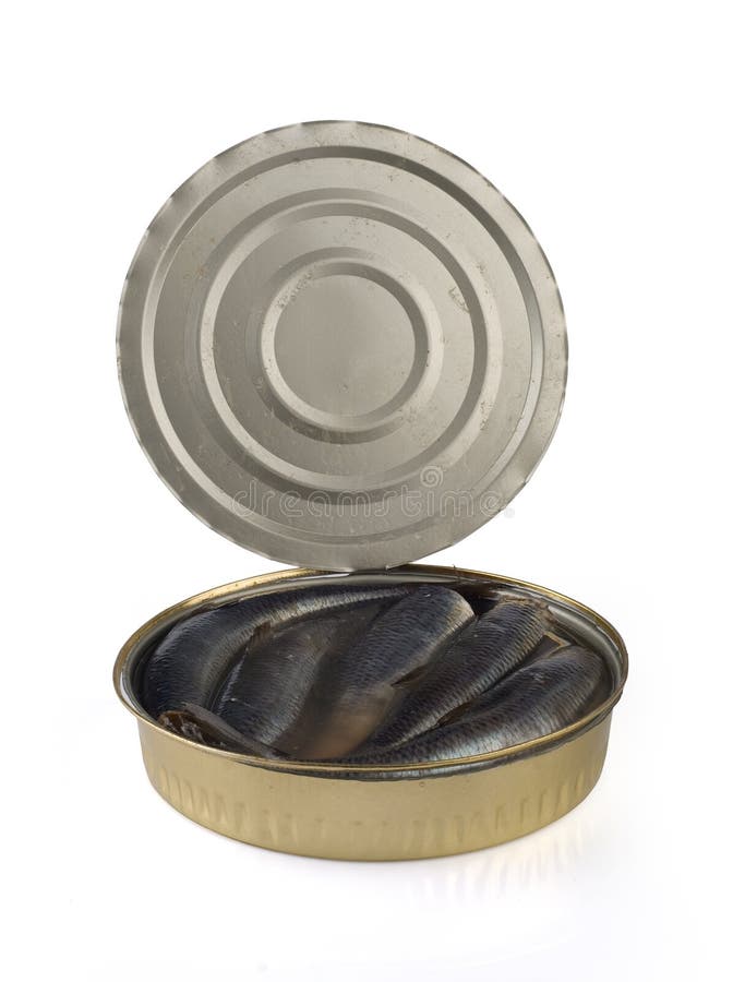 Canned herring in oil stock image. Image of stacked, prepared 42859285