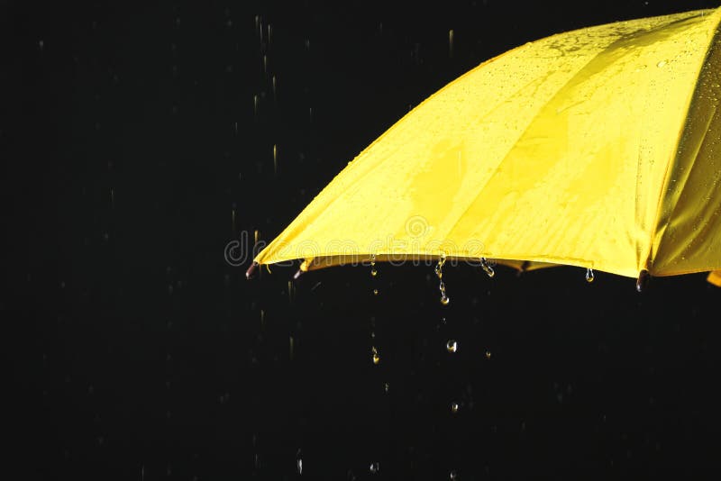 Opened Yellow Umbrella Rain Against Black Background, Closeup Stock Image -  Image of pouring, dark: 156574113