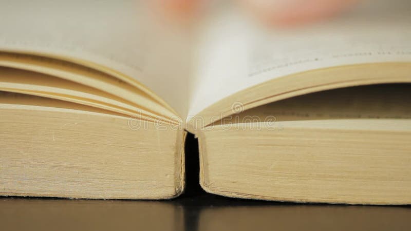 Book Opening Stock Footage & Videos - 770 Stock Videos