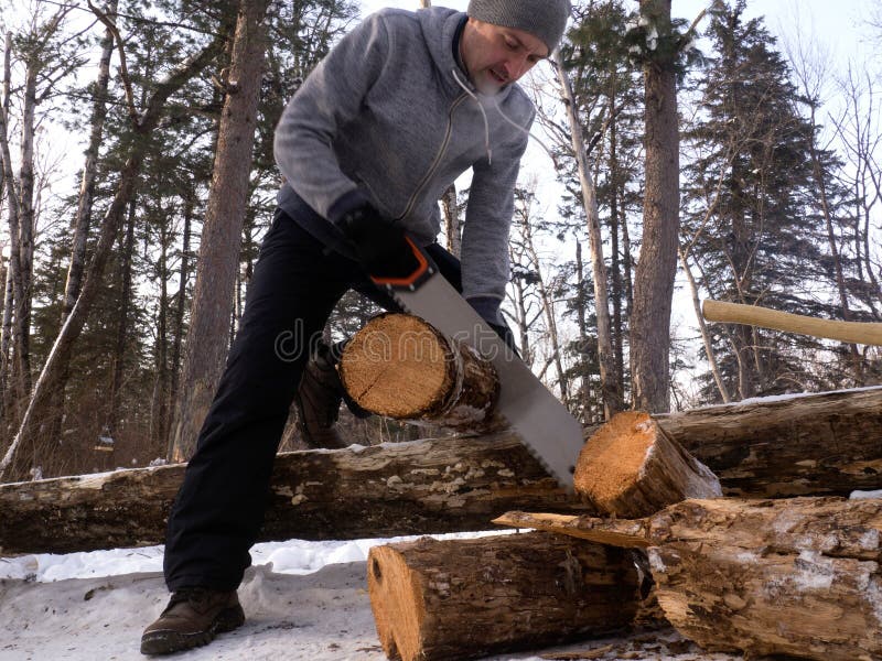 Openluchtactiviteiten: een mens zaagt hout in een bos voor een brand Regeling van een tentkamp stock foto Openluchtactiviteiten: een mens zaagt hout in een bos voor een brand Regeling van een tentkamp stock foto