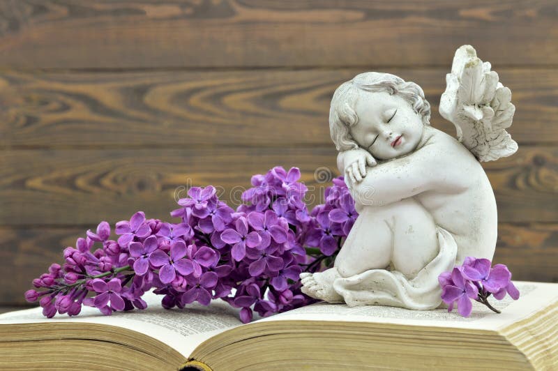 Opiekunu anioł i lily kwiat na książce