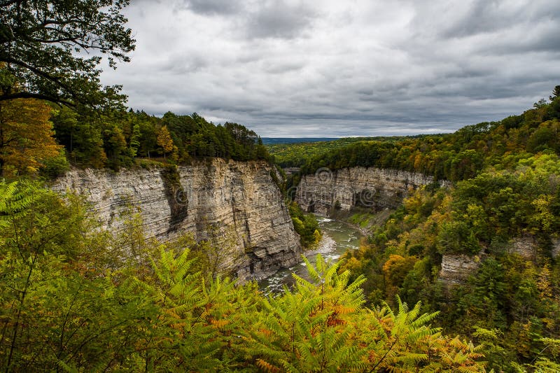 A view of the deep canyons on an overcast afternoon at Letchworth State Park in Livingston and Wyoming counties, New York. A view of the deep canyons on an overcast afternoon at Letchworth State Park in Livingston and Wyoming counties, New York.