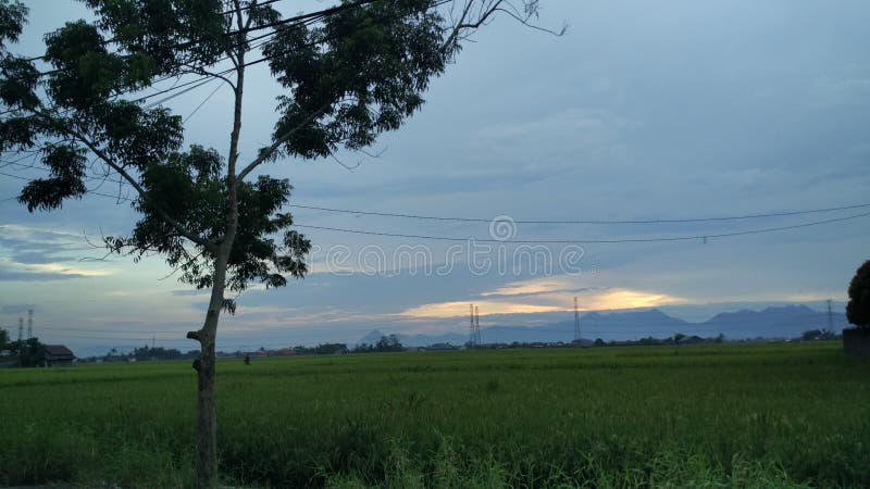 Opiniones del paisaje de los campos del arroz con el fondo hermoso de la montaña foto de archivo libre de regalías Opiniones del paisaje de los campos del arroz con el fondo hermoso de la montaña foto de archivo libre de regalías