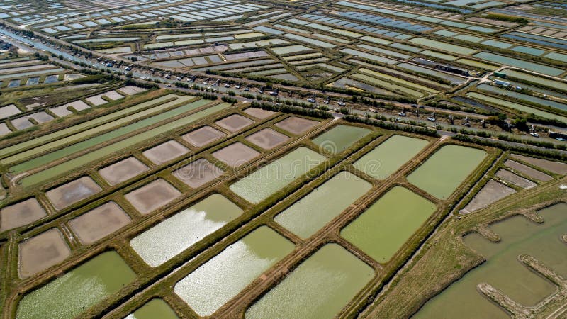 A opinião aérea as ostras cultiva em Marennes, Charente marítimo foto de stock A opinião aérea as ostras cultiva em Marennes, Charente marítimo foto de stock