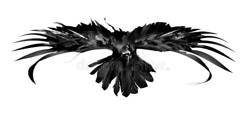 Opinião dianteira do corvo do pássaro de voo do esboço ilustração royalty free Opinião dianteira do corvo do pássaro de voo do esboço ilustração royalty free