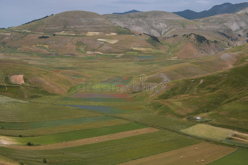 Opinião do verão do flautim de Pian perto de Castelluccio di Norcia fotografia de stock Opinião do verão do flautim de Pian perto de Castelluccio di Norcia fotografia de stock