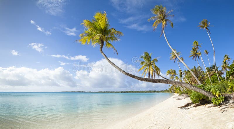 Tropical white sand beach and blue lagoon of a paradise island panoramic view. Tropical white sand beach and blue lagoon of a paradise island panoramic view