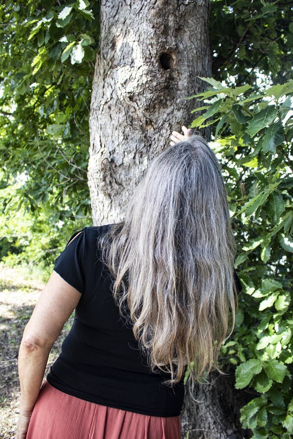 Opinião traseira a mulher com o cabelo cinzento longo que olha acima em um furo em um tronco de árvore fotografia de stock Opinião traseira a mulher com o cabelo cinzento longo que olha acima em um furo em um tronco de árvore fotografia de stock