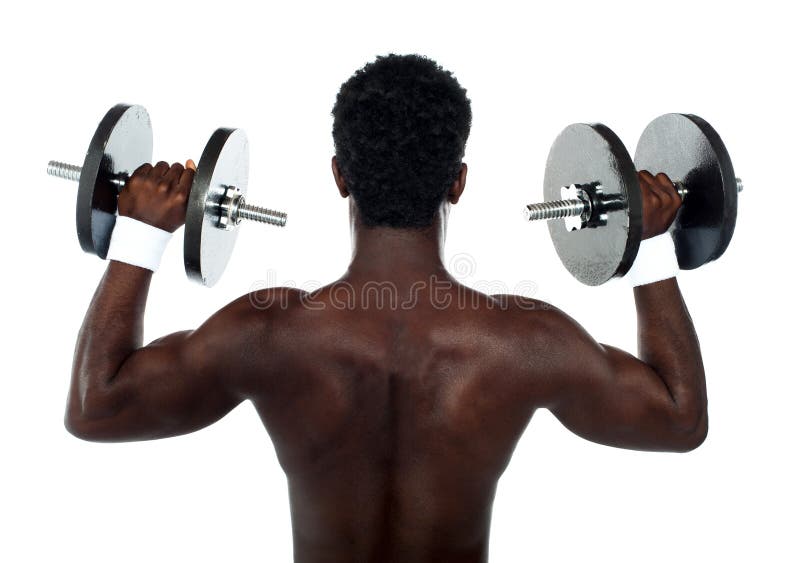 Opinião traseira um bodybuilder masculino novo fotografia de stock royalty free Opinião traseira um bodybuilder masculino novo fotografia de stock royalty free