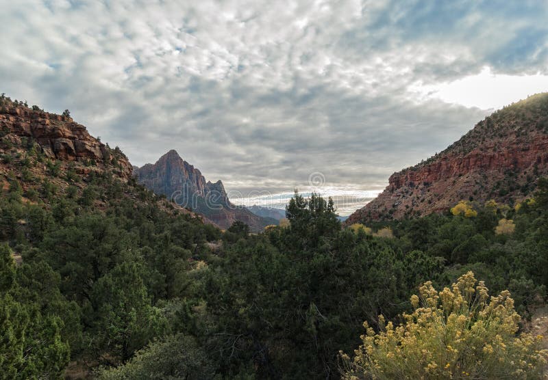 Opinión al vigilante, Zion National Park fotografía de archivo Opinión al vigilante, Zion National Park fotografía de archivo