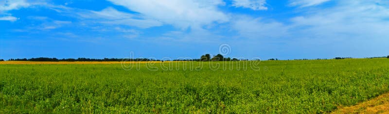 Opinión amplia del campo panorámico con los árboles detrás Verano rural foto de archivo libre de regalías Opinión amplia del campo panorámico con los árboles detrás Verano rural foto de archivo libre de regalías