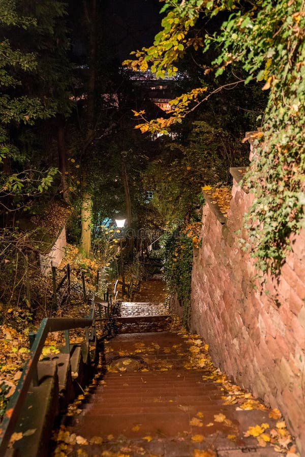 Opinión de la noche de la ciudad vieja de Heidelberg con las calles estrechas imagen de archivo libre de regalías Opinión de la noche de la ciudad vieja de Heidelberg con las calles estrechas imagen de archivo libre de regalías