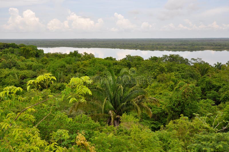 Opinión de la selva tropical y de la laguna en America Central foto de archivo libre de regalías Opinión de la selva tropical y de la laguna en America Central foto de archivo libre de regalías