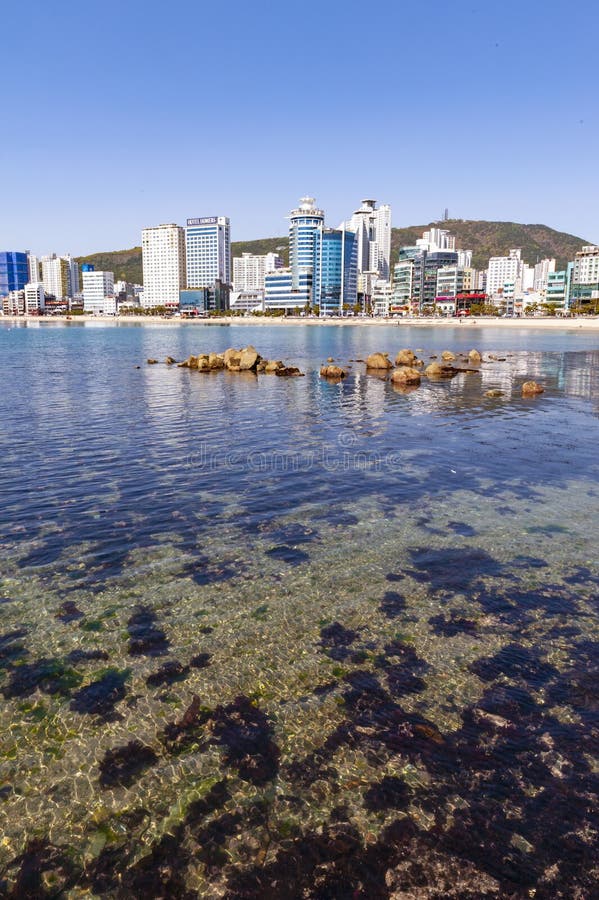 Opinión de la zona costera de Busán en la playa de Gwangalli, un destino turístico popular del paisaje urbano en Busán, Corea del fotografía de archivo libre de regalías Opinión de la zona costera de Busán en la playa de Gwangalli, un destino turístico popular del paisaje urbano en Busán, Corea del fotografía de archivo libre de regalías
