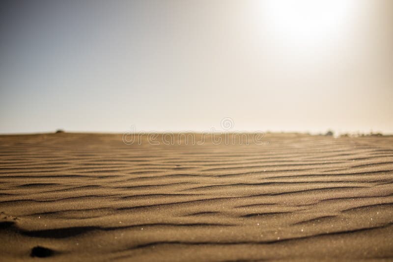 Opinión de nivel del suelo de la arena del desierto en la puesta del sol con el sol que golpea difícilmente desde arriba de dar u