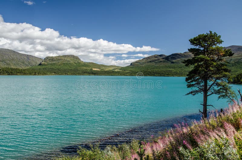 Opinión del lago que sorprende en el parque nacional de Jotunheimen con el árbol antedicho y verde del cielo azul a la derecha imagenes de archivo Opinión del lago que sorprende en el parque nacional de Jotunheimen con el árbol antedicho y verde del cielo azul a la derecha imagenes de archivo