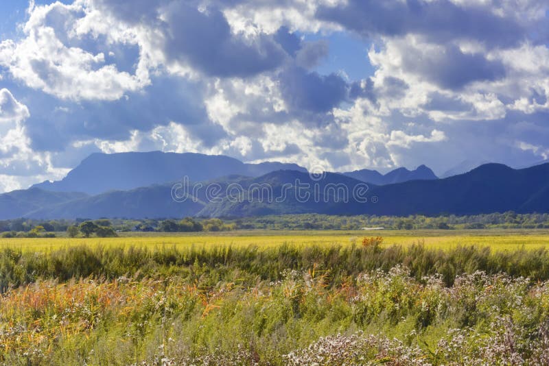 Opinión del otoño de campos amarillos y de montañas azules contra un nublado fotos de archivo libres de regalías Opinión del otoño de campos amarillos y de montañas azules contra un nublado fotos de archivo libres de regalías