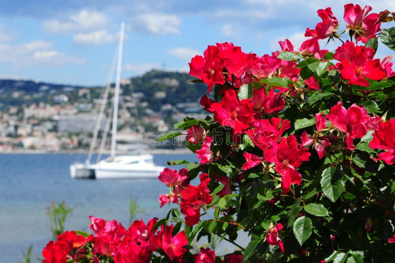 Beautiful sea view in Cannes, France. Beautiful sea view in Cannes, France