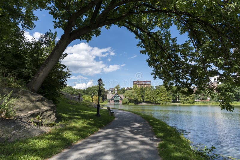 Opinión que enmarca del árbol de Harlem Meer de Central Park en NYC fotografía de archivo libre de regalías Opinión que enmarca del árbol de Harlem Meer de Central Park en NYC fotografía de archivo libre de regalías