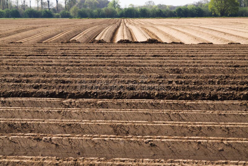 Opinión sobre cropland labrado arado con los surcos verticales y horizontales simétricos en Países Bajos cerca de Roermond foto de archivo libre de regalías Opinión sobre cropland labrado arado con los surcos verticales y horizontales simétricos en Países Bajos cerca de Roermond foto de archivo libre de regalías