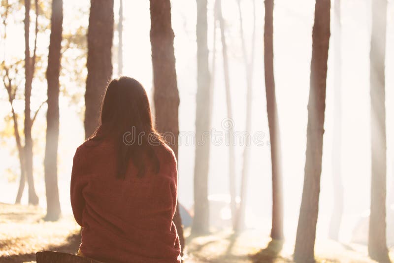 Opinión trasera la mujer joven que se sienta en el parque de naturaleza imagen de archivo Opinión trasera la mujer joven que se sienta en el parque de naturaleza imagen de archivo