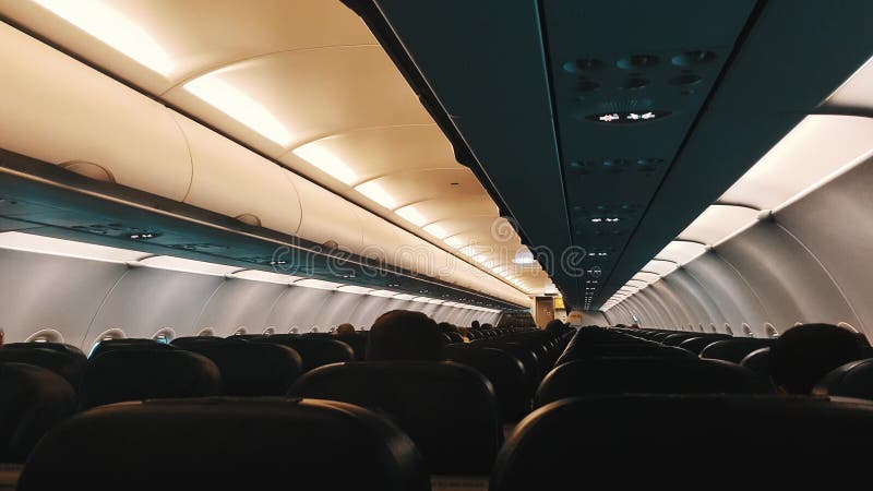 Opinión trasera pasajeros en el aeroplano almacen de metraje de vídeo