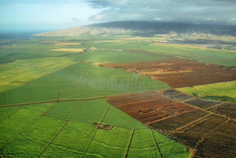 Opiniões aéreas colheitas da cana-de-açúcar em Maui foto de stock Opiniões aéreas colheitas da cana-de-açúcar em Maui foto de stock