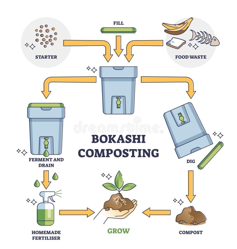 Bokashi composting process stages explanation for food waste management outline diagram. Labeled educational scheme with compost bin for garbage vector illustration. Sustainable recycling system. Bokashi composting process stages explanation for food waste management outline diagram. Labeled educational scheme with compost bin for garbage vector illustration. Sustainable recycling system.
