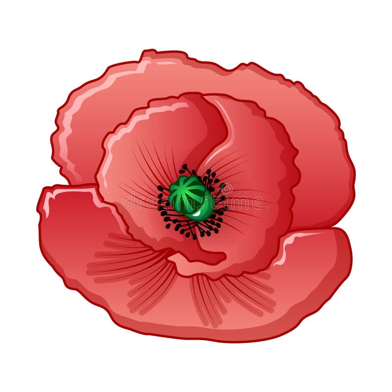 Opium Flower Icon, Cartoon Style Stock Vector - Illustration of natural ...