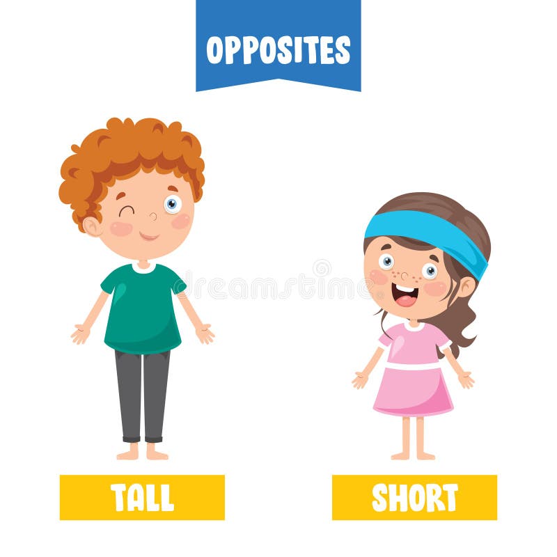 Tall Short Stock Illustrations – 1,390 Tall Short Stock