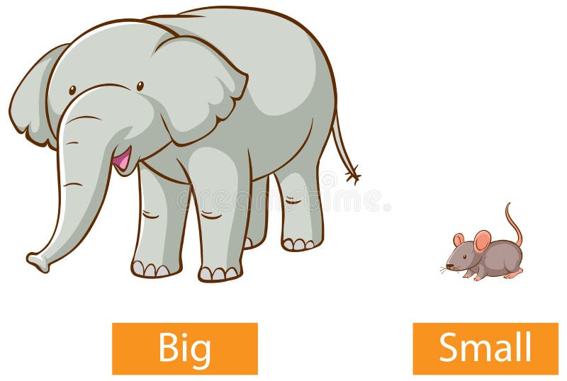 Opposite big and small, Opposite English Words big and small on