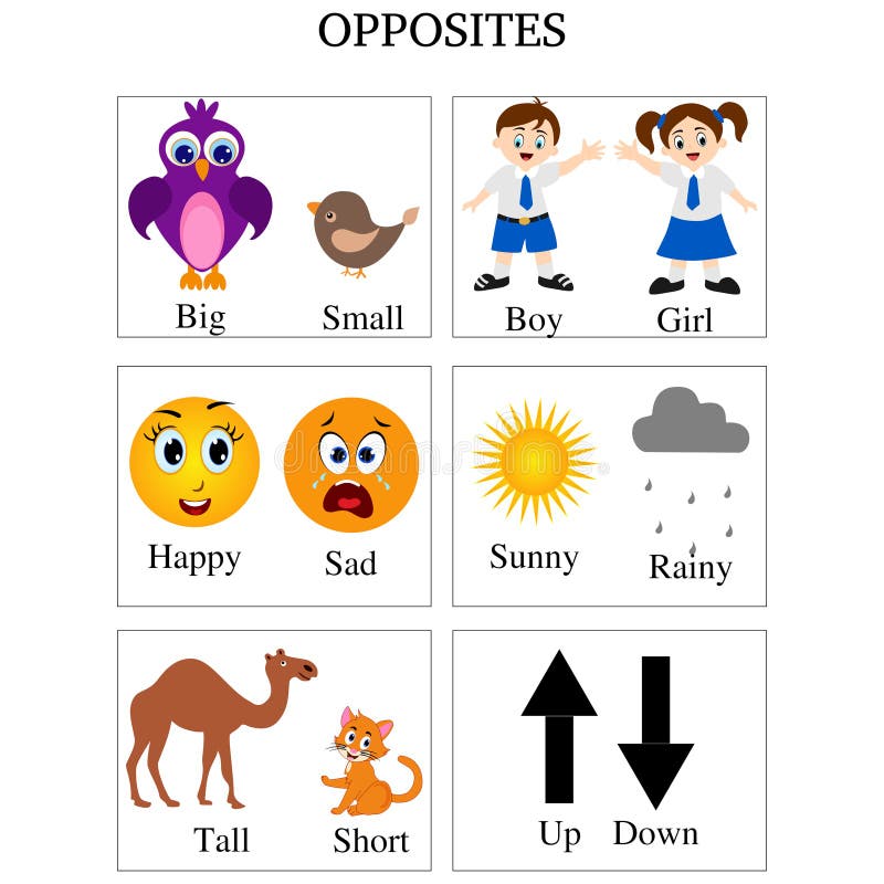 Opposite wordcard for big and small illustration Stock Photo - Alamy
